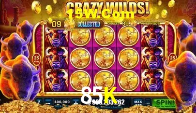 cassino 85K
